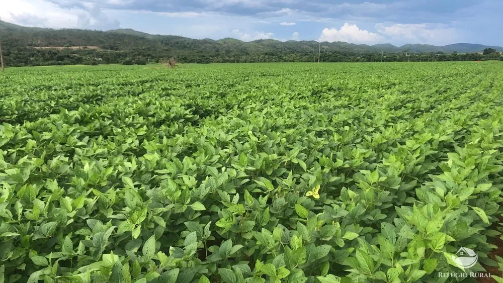 Fazenda, 10400 hectares - Foto 1