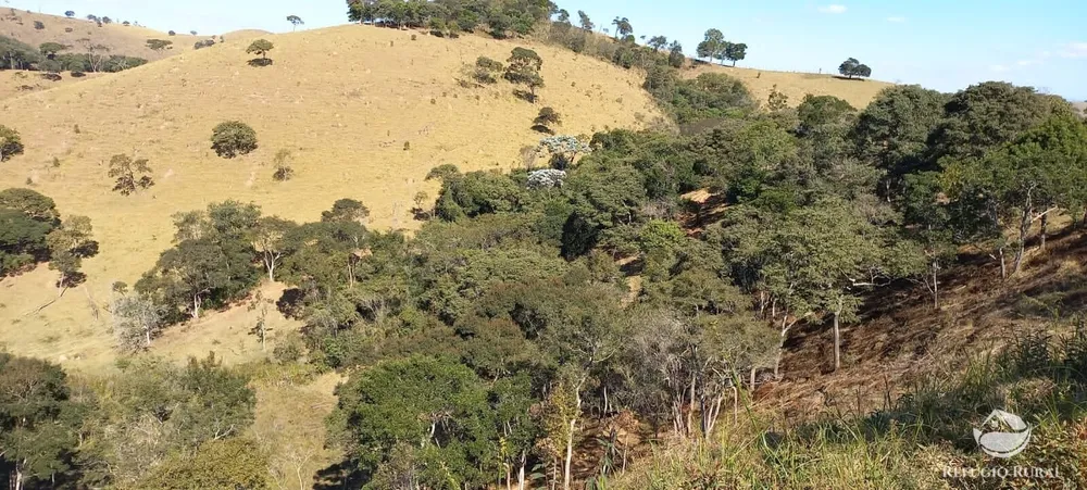 Sítio, 92 hectares - Foto 11