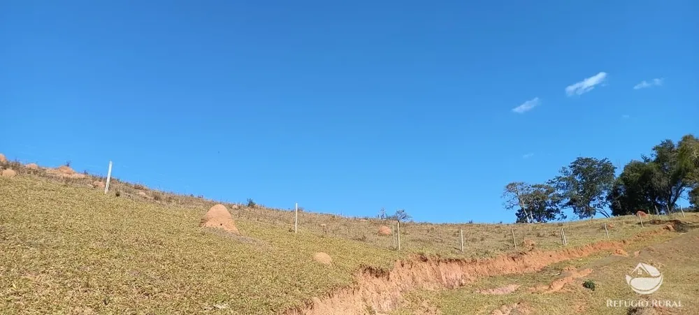 Sítio, 92 hectares - Foto 14