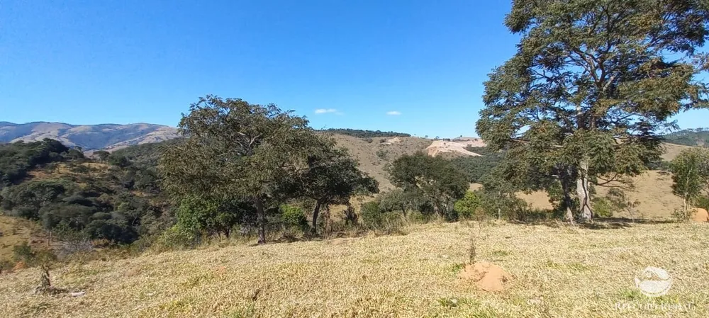Sítio, 92 hectares - Foto 2