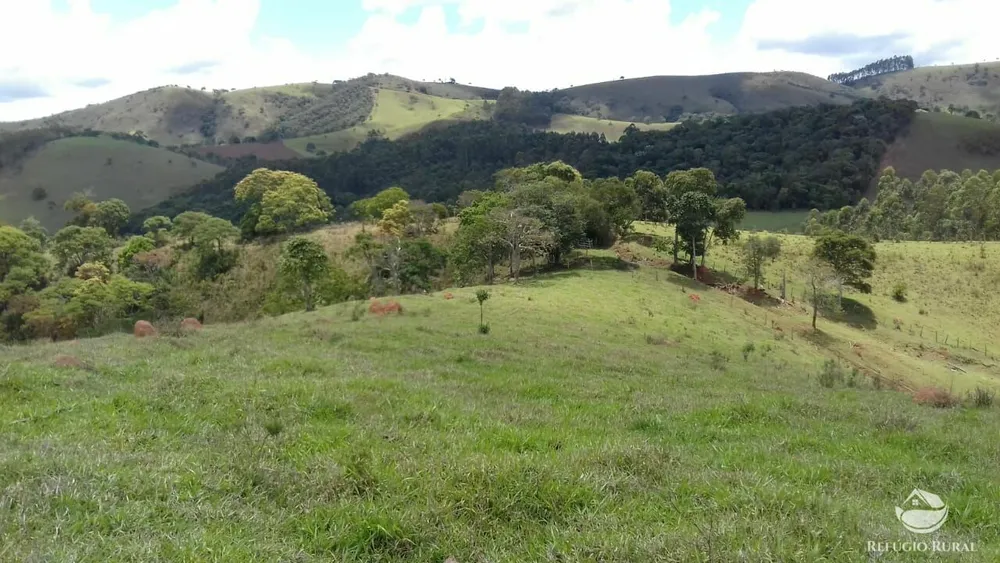 Sítio, 92 hectares - Foto 6
