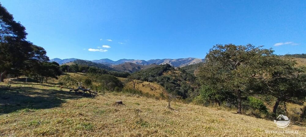 Sítio, 92 hectares - Foto 4