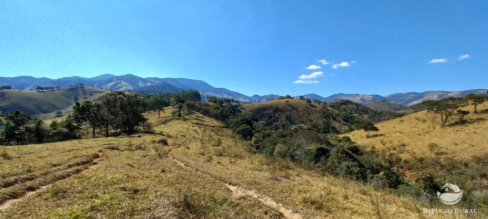 Sítio, 92 hectares - Foto 3