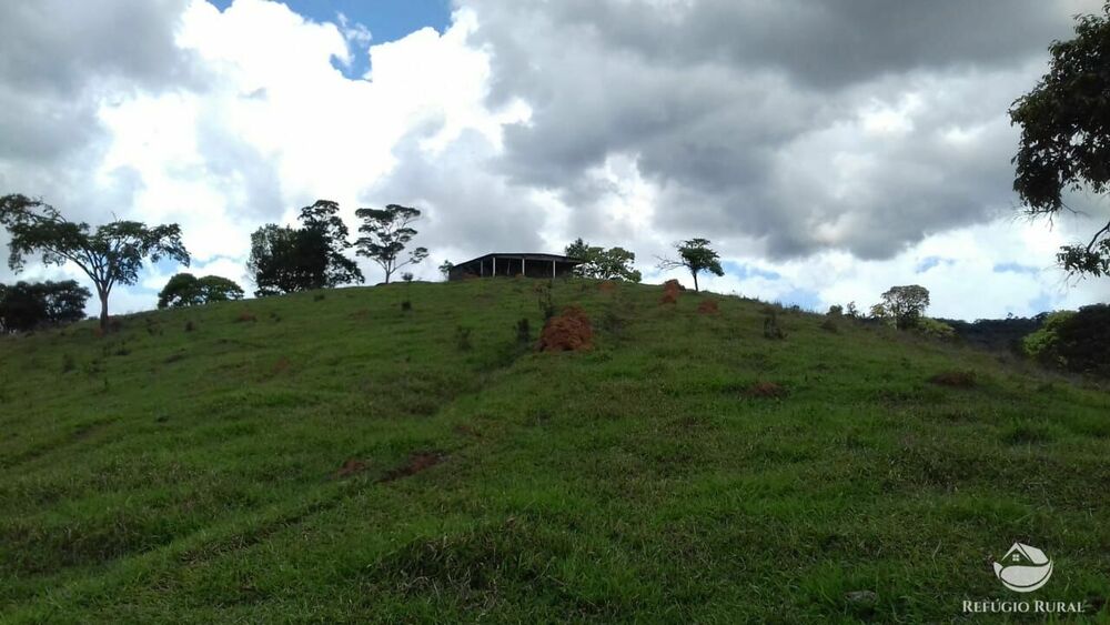 Sítio, 92 hectares - Foto 1