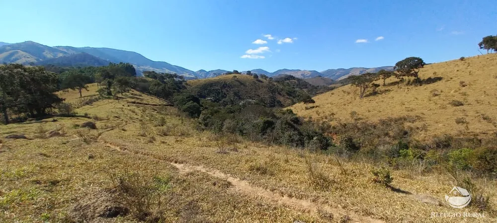Sítio, 92 hectares - Foto 7