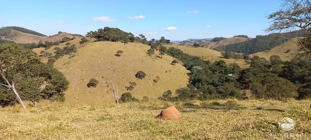 Sítio, 92 hectares - Foto 4
