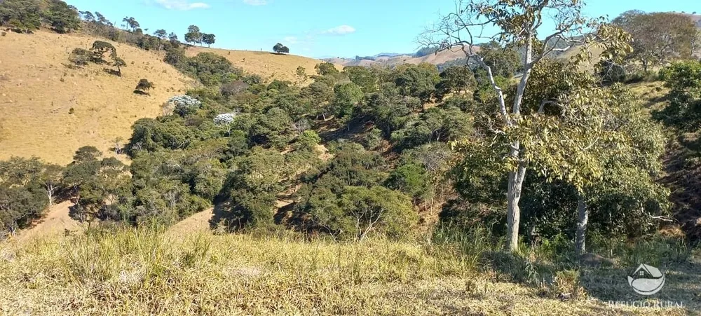 Sítio, 92 hectares - Foto 3