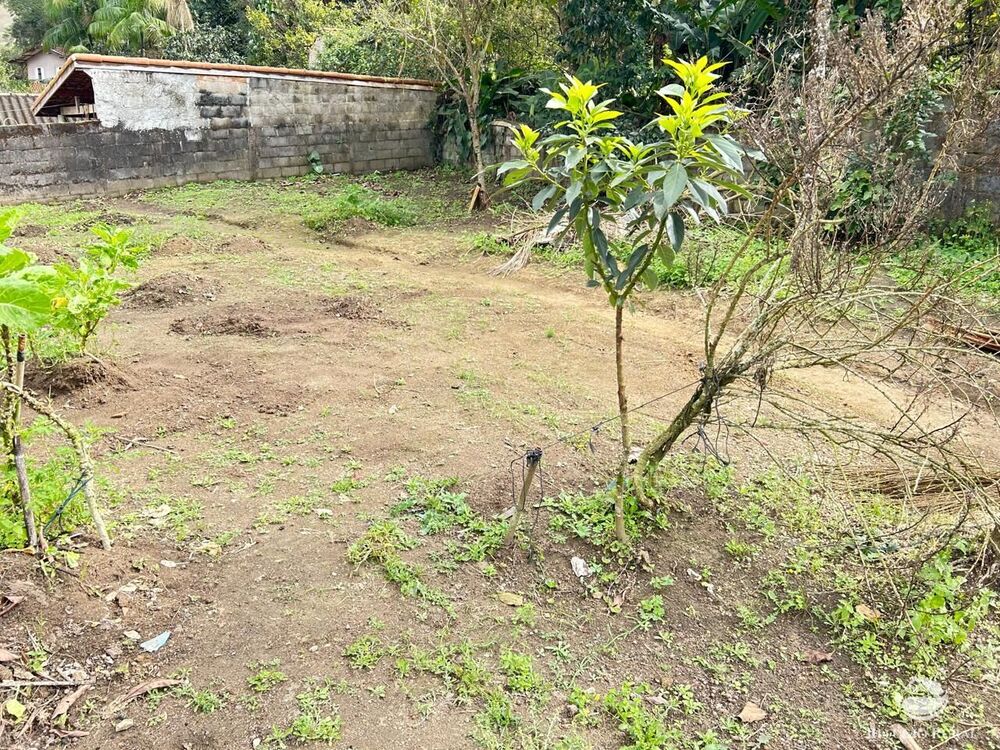 Chácara à venda com 4 quartos, 1000m² - Foto 3