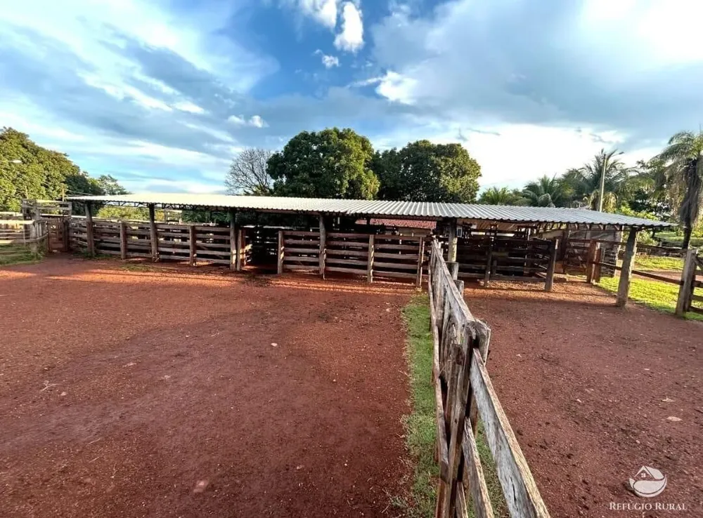 Fazenda, 883 hectares - Foto 4