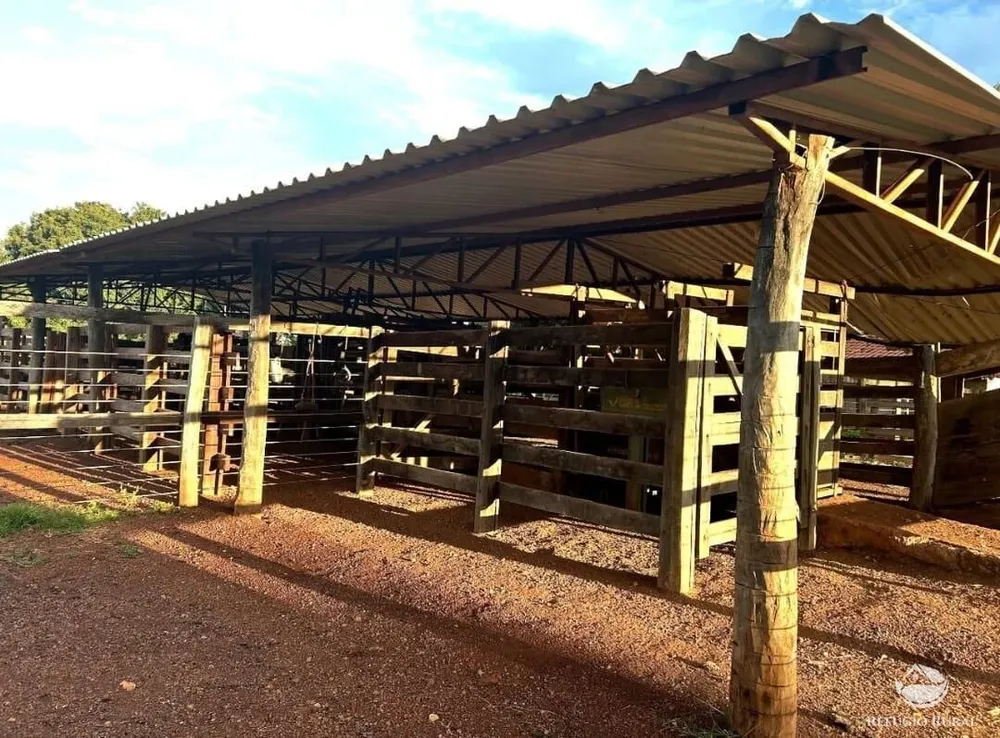Fazenda, 883 hectares - Foto 3