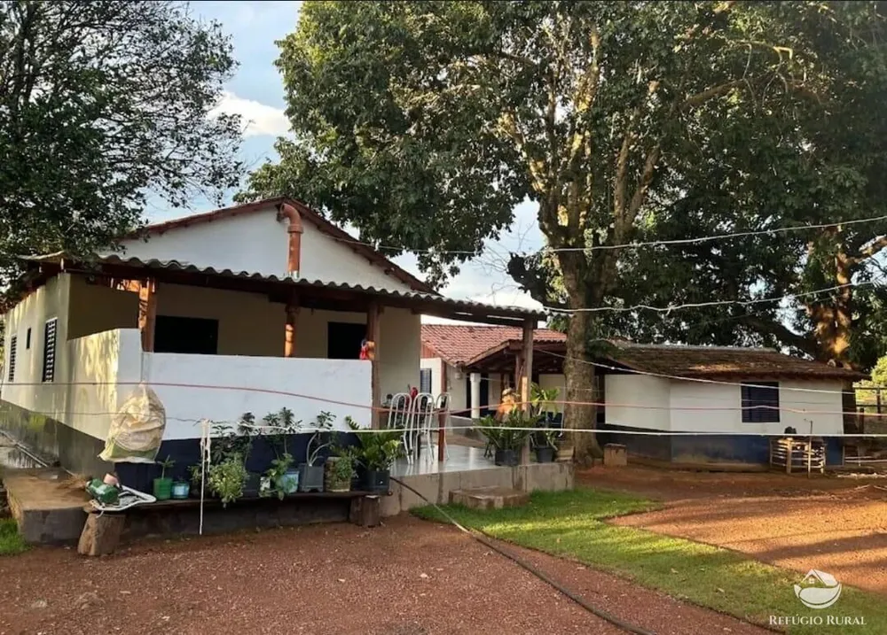 Fazenda, 883 hectares - Foto 6