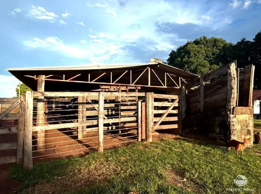 Fazenda, 883 hectares - Foto 6