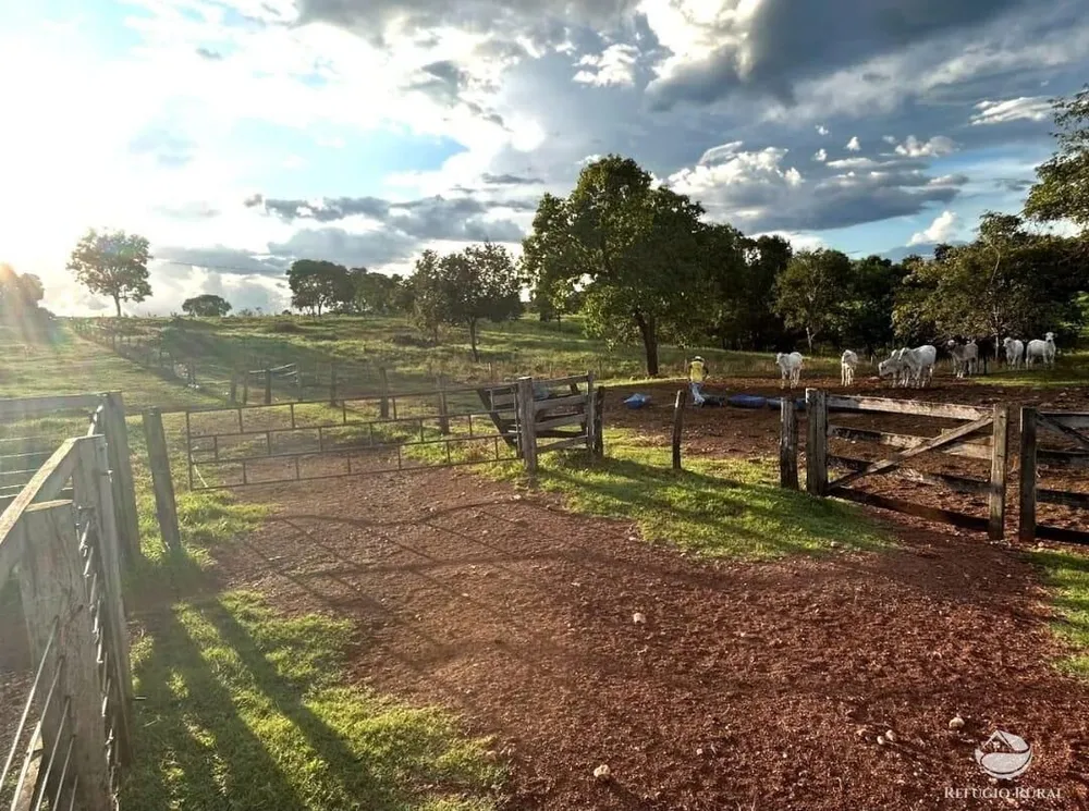 Fazenda, 883 hectares - Foto 1