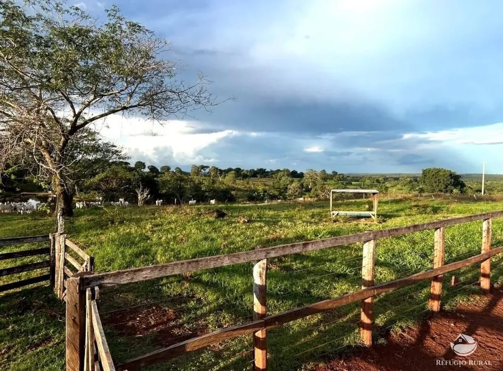 Fazenda, 883 hectares - Foto 3