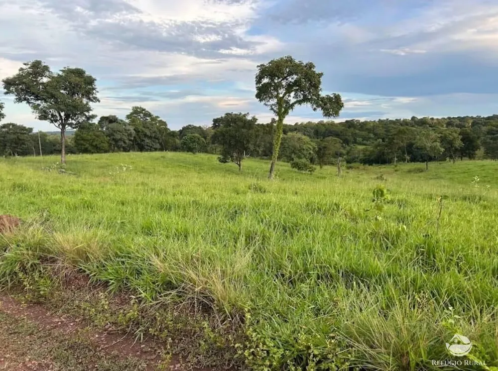 Fazenda, 883 hectares - Foto 14