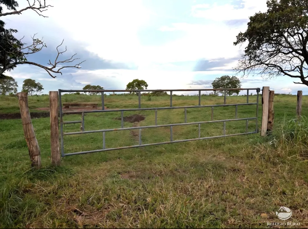 Fazenda, 883 hectares - Foto 5