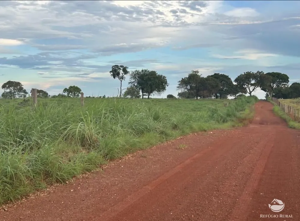 Fazenda, 883 hectares - Foto 15