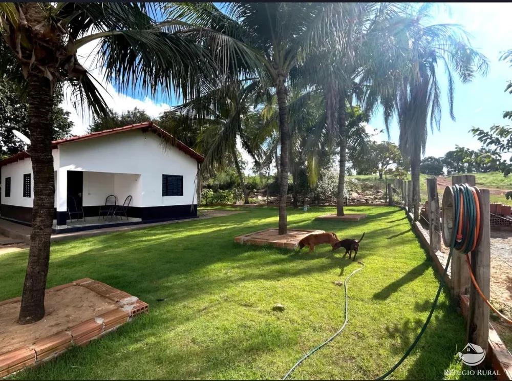 Fazenda, 883 hectares - Foto 7