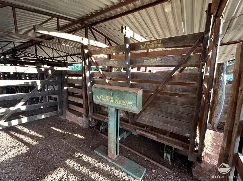 Fazenda, 883 hectares - Foto 8