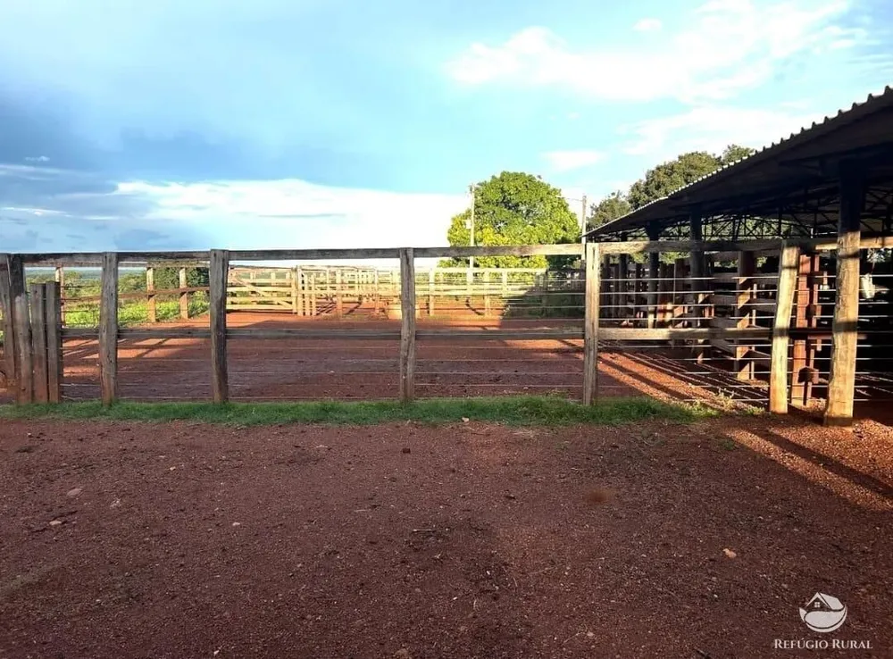 Fazenda, 883 hectares - Foto 13