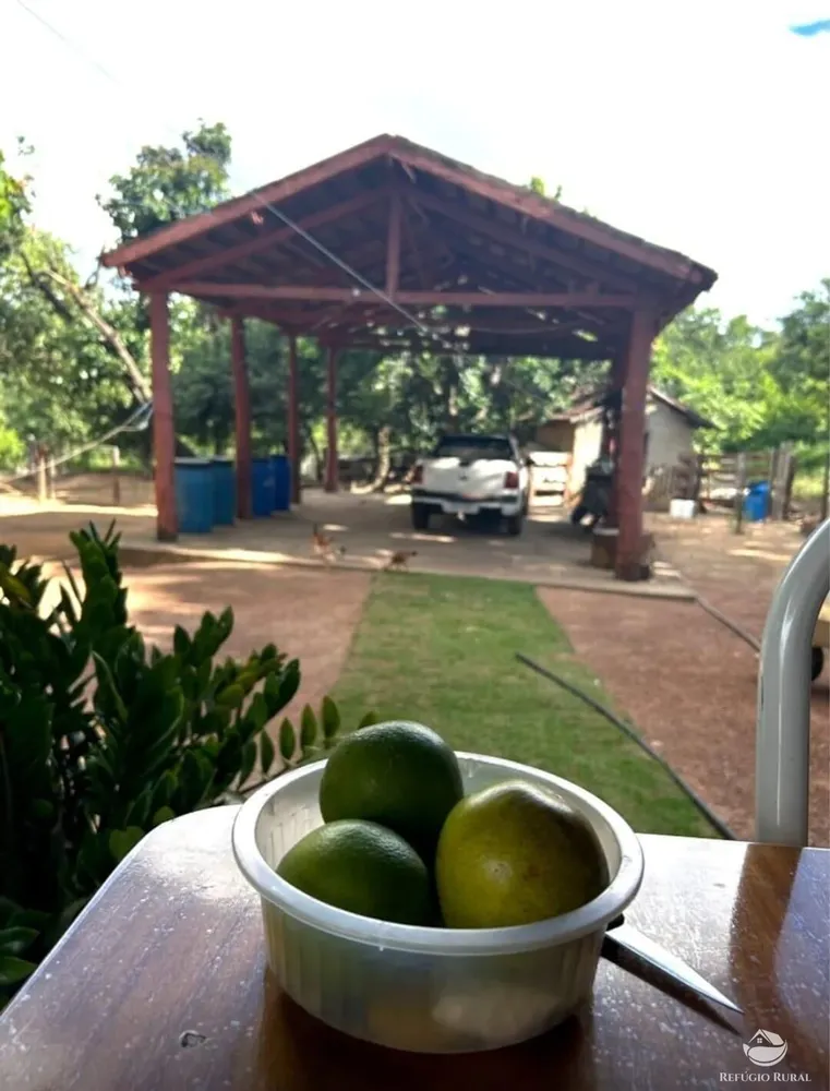 Fazenda, 883 hectares - Foto 2