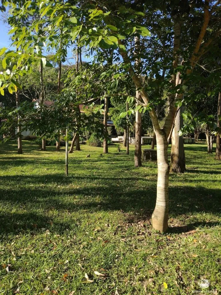 Sítio, 50 hectares - Foto 6