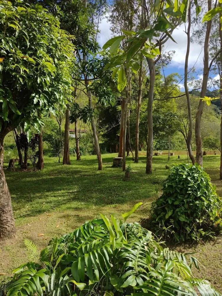 Sítio, 50 hectares - Foto 4