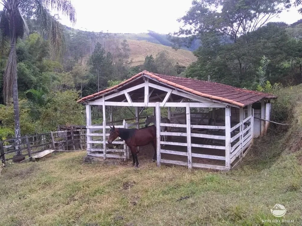Sítio, 50 hectares - Foto 14