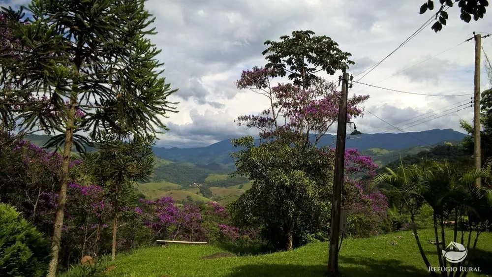 Chácara, 9000 m² - Foto 11