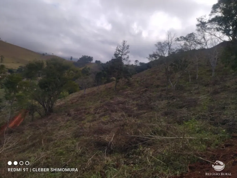 Terreno, 2 hectares - Foto 4