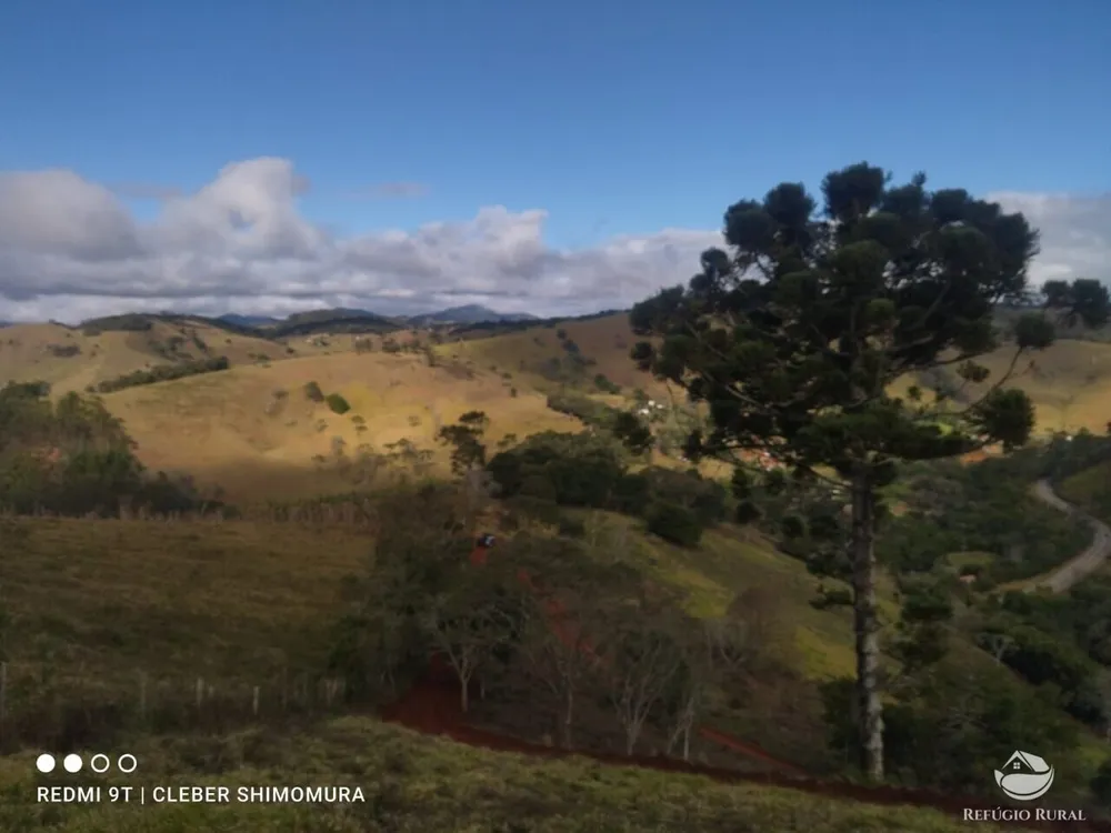 Terreno, 2 hectares - Foto 11