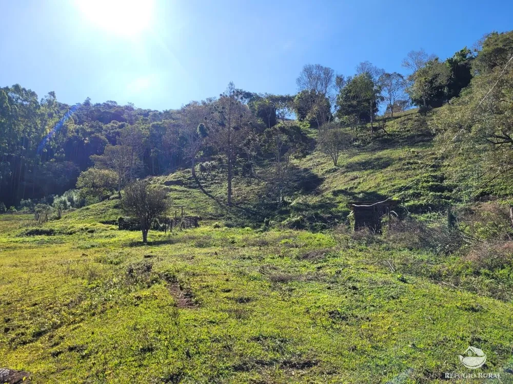 Terreno, 2 hectares - Foto 6