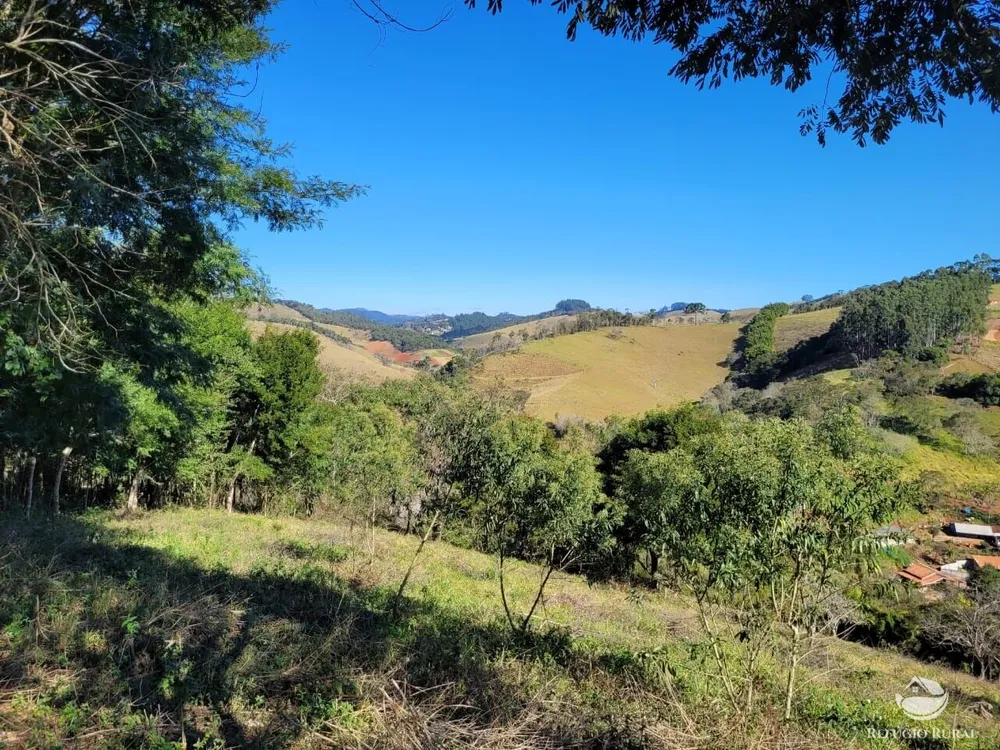 Terreno, 2 hectares - Foto 7