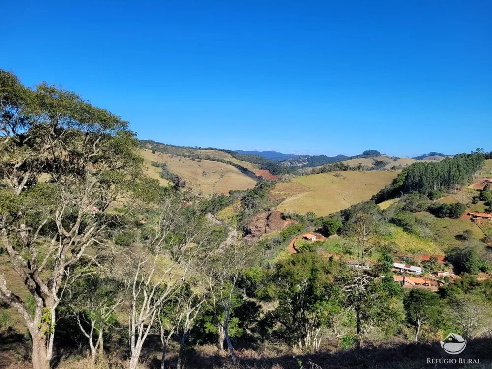 Terreno, 2 hectares - Foto 8