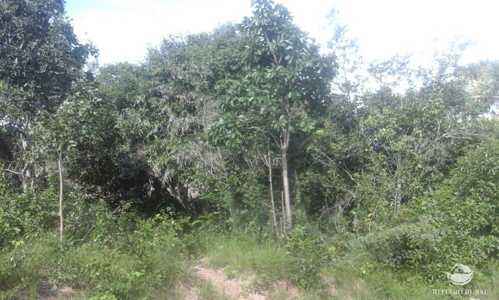 Fazenda à venda com 1 quarto, 9090000m² - Foto 1