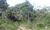 Fazenda-Sítio-Chácara, 909 hectares - Foto 1
