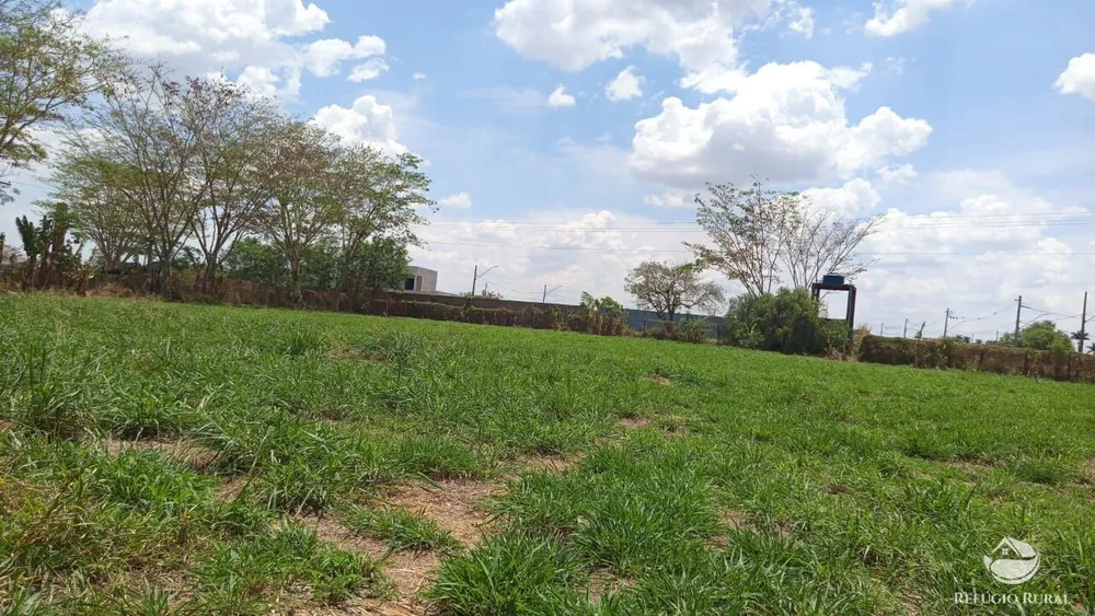 Sítio, 2 hectares - Foto 16