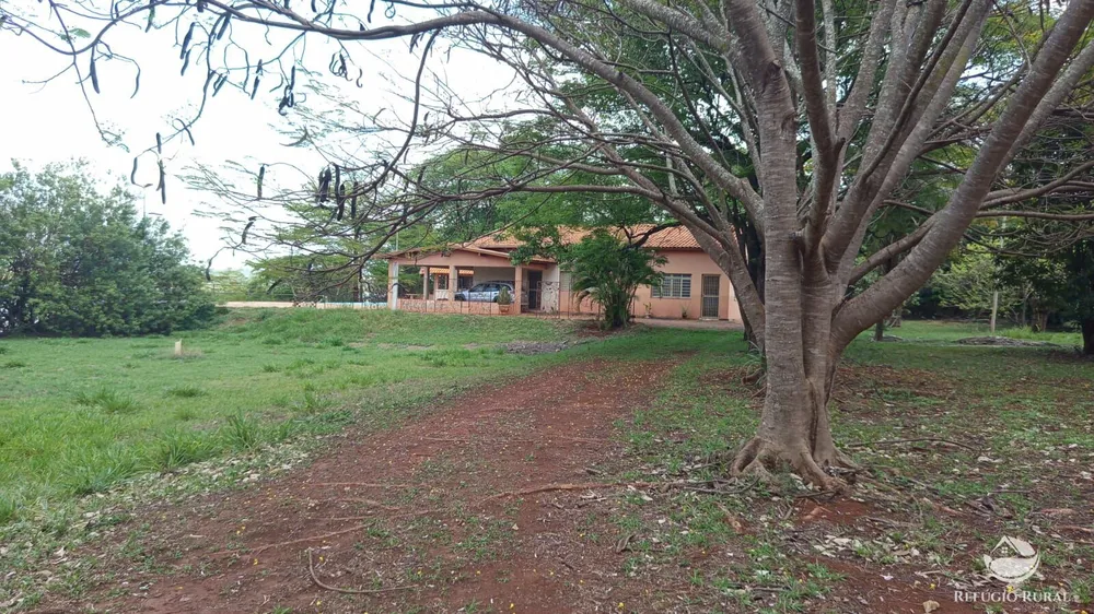 Sítio, 2 hectares - Foto 3