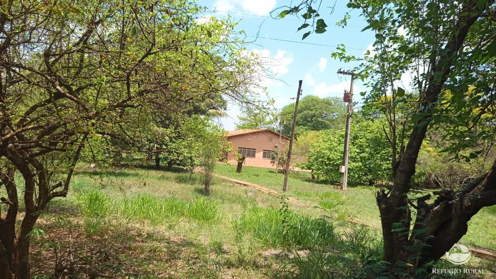 Sítio, 2 hectares - Foto 12