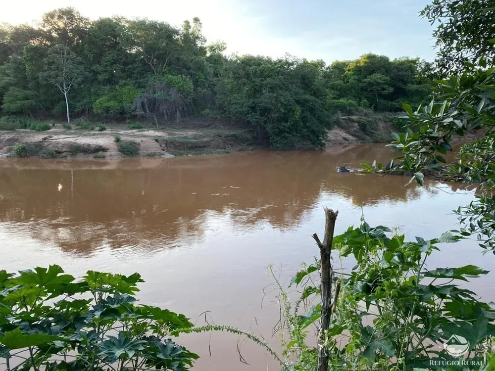 Fazenda, 435 hectares - Foto 6