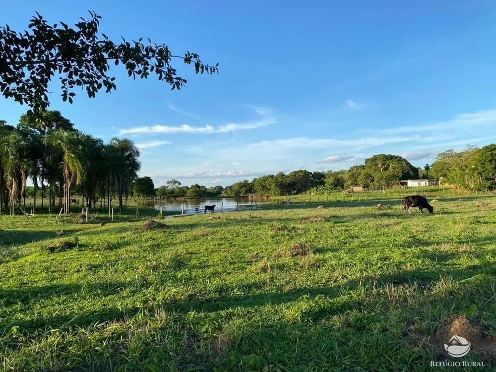 Fazenda, 435 hectares - Foto 3