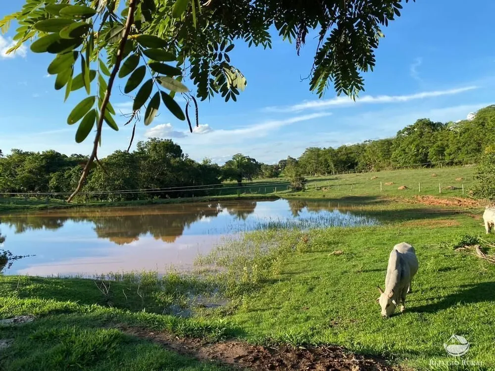 Fazenda, 435 hectares - Foto 1