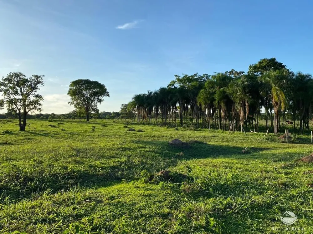 Fazenda, 435 hectares - Foto 4