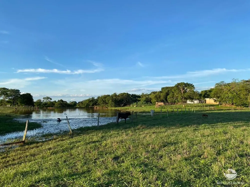 Fazenda, 435 hectares - Foto 9