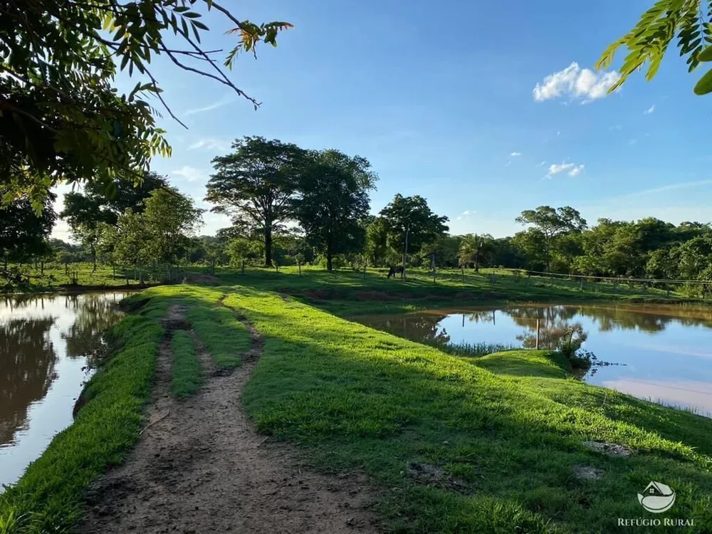 Fazenda, 435 hectares - Foto 10