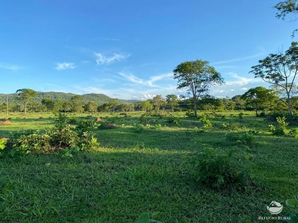 Fazenda, 435 hectares - Foto 5