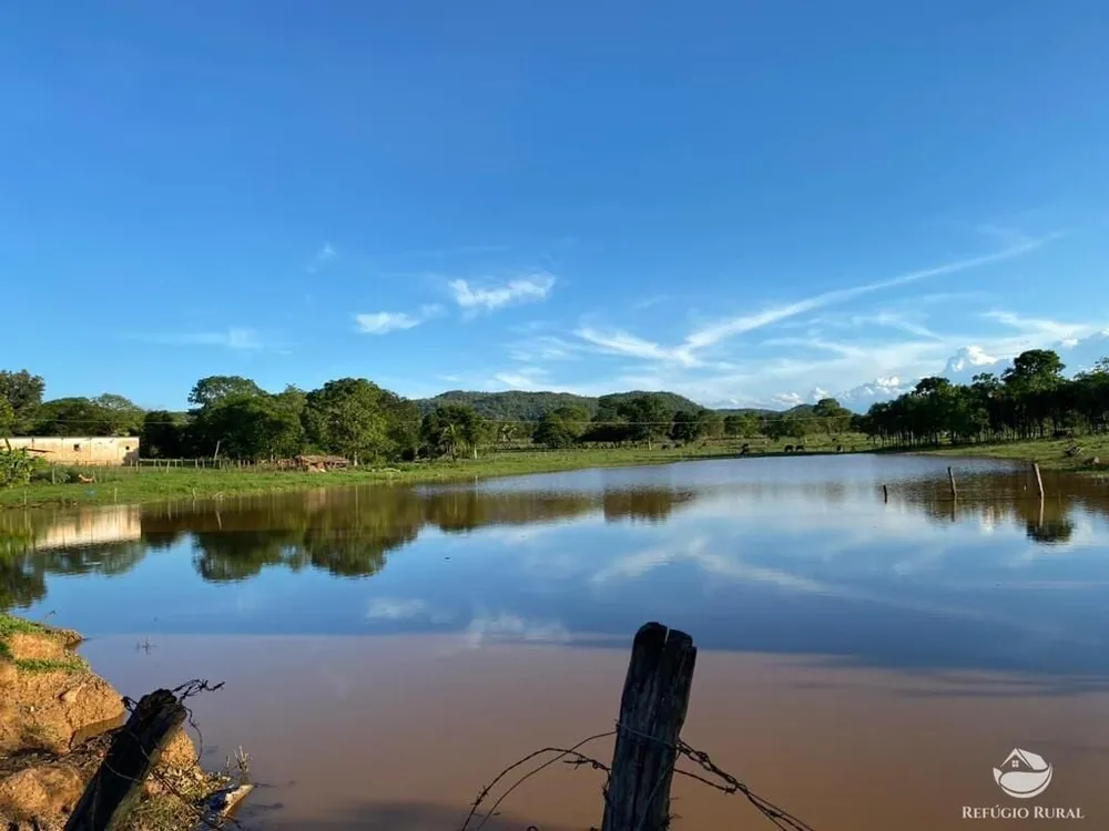 Fazenda, 435 hectares - Foto 8