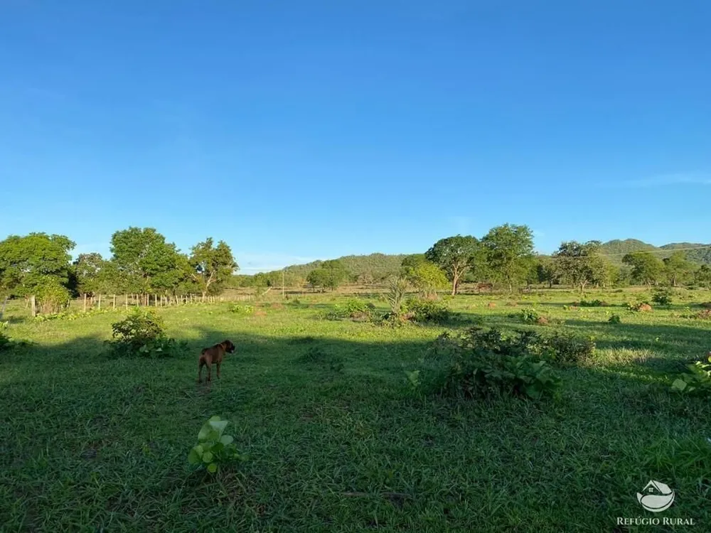 Fazenda, 435 hectares - Foto 12
