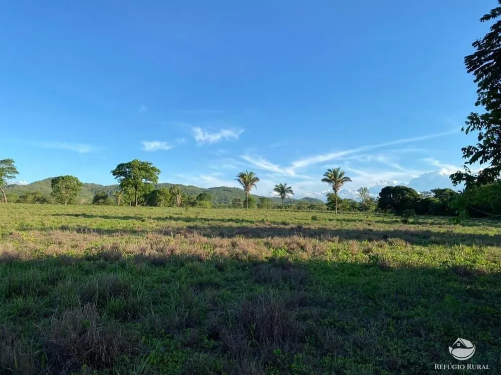 Fazenda, 435 hectares - Foto 7