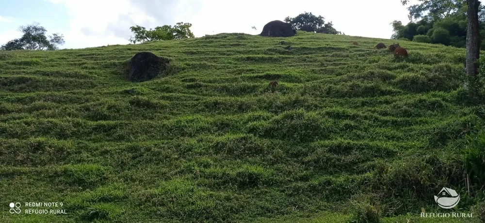 Terreno, 6 hectares - Foto 10